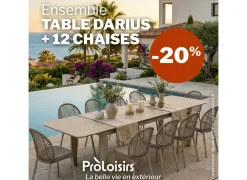 Offre Table Darius - Chaises Darius